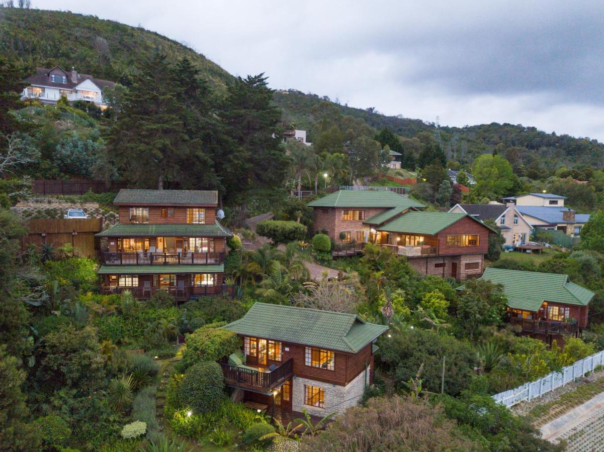 Big Tree House Lodge Knysna Ngoại thất bức ảnh