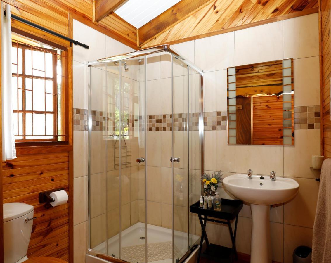 Big Tree House Lodge Knysna Ngoại thất bức ảnh