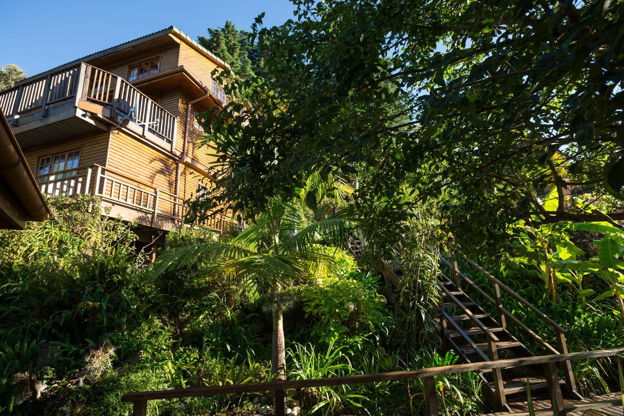 Big Tree House Lodge Knysna Ngoại thất bức ảnh