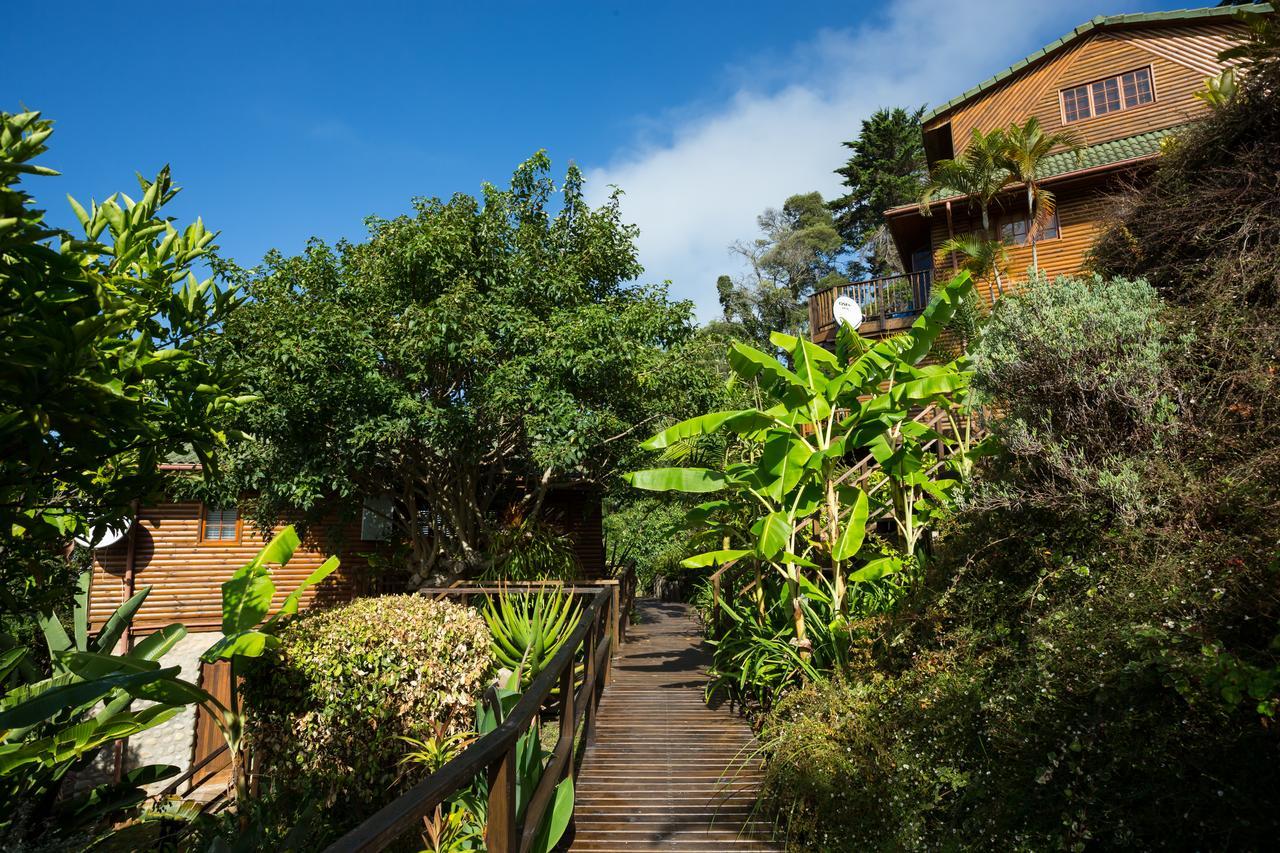 Big Tree House Lodge Knysna Ngoại thất bức ảnh