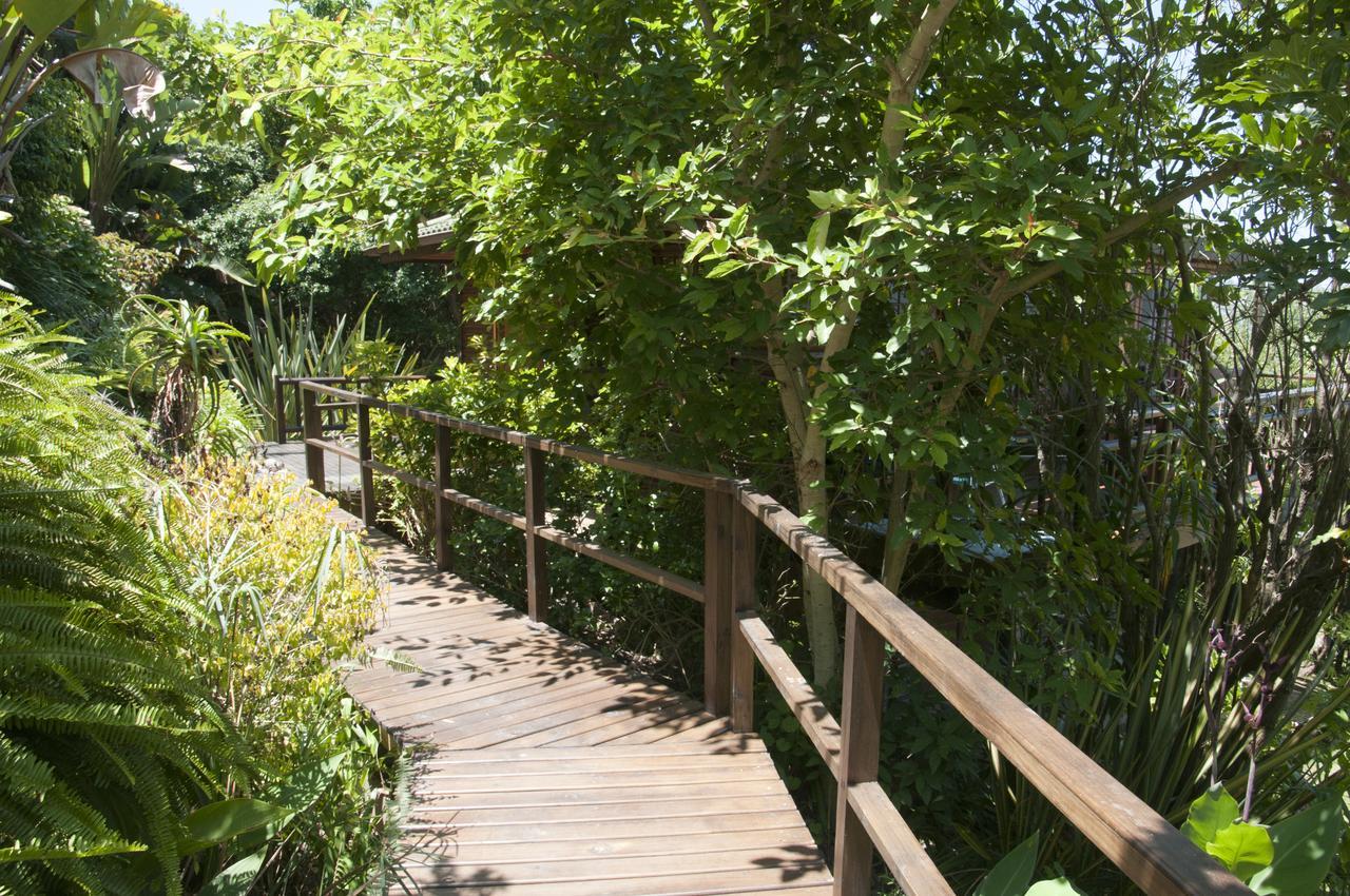 Big Tree House Lodge Knysna Ngoại thất bức ảnh
