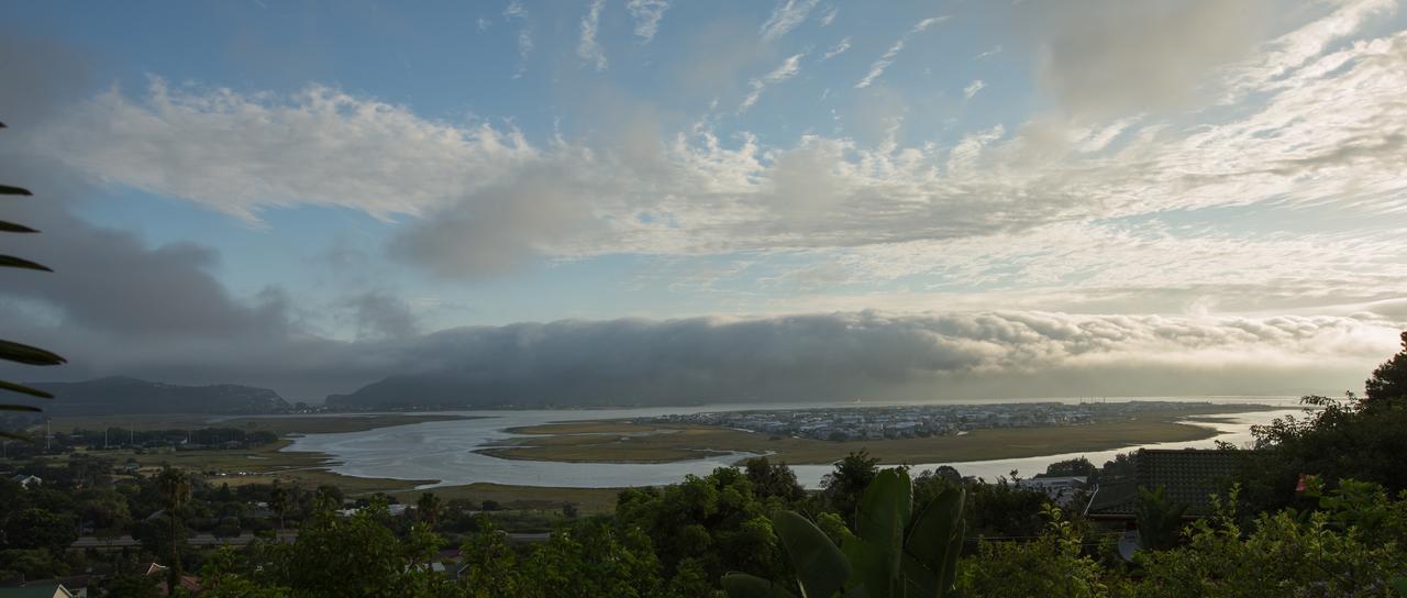 Big Tree House Lodge Knysna Ngoại thất bức ảnh