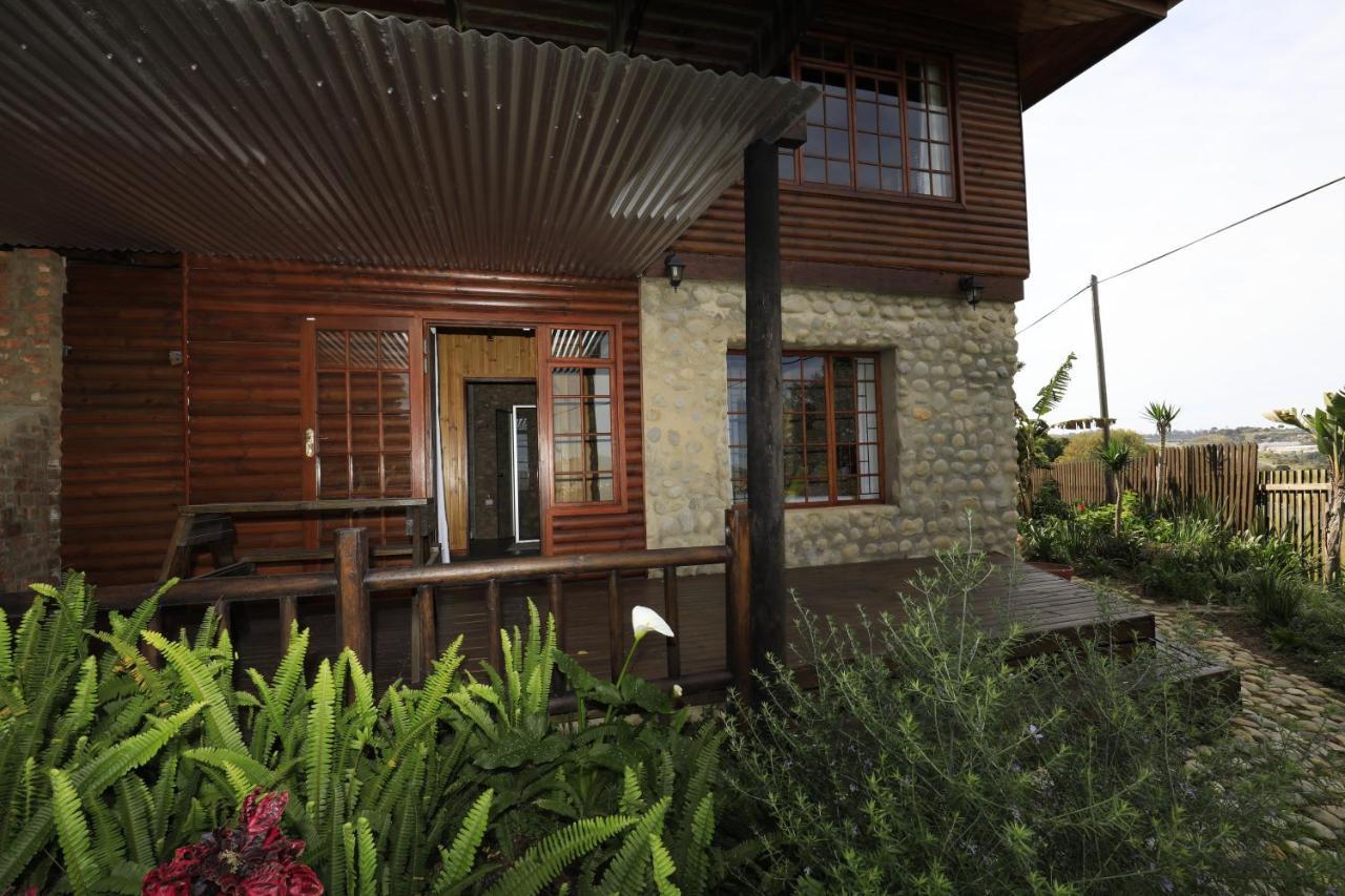 Big Tree House Lodge Knysna Ngoại thất bức ảnh