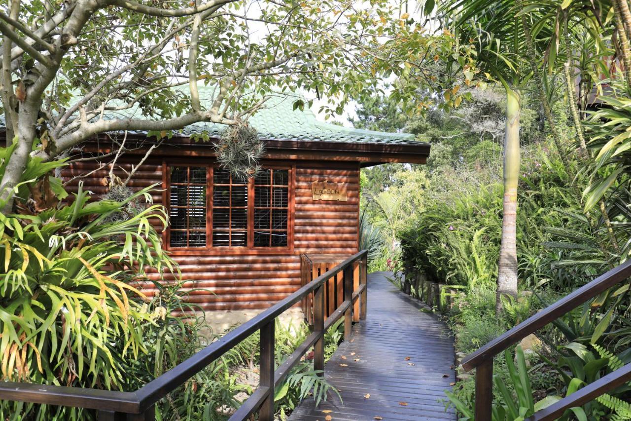 Big Tree House Lodge Knysna Ngoại thất bức ảnh
