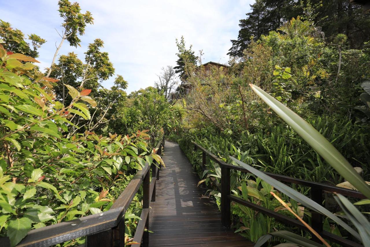 Big Tree House Lodge Knysna Ngoại thất bức ảnh